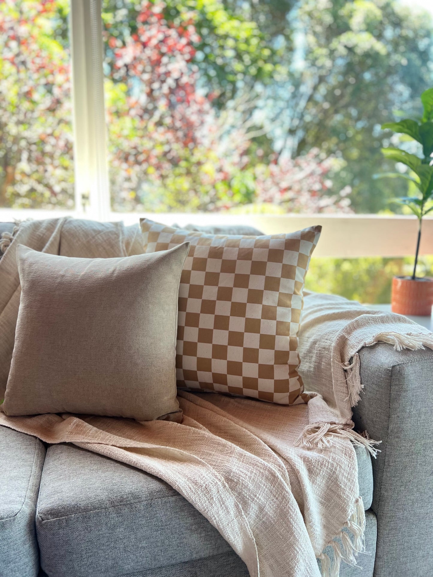 Latte Check Set - Cushion Cover Set