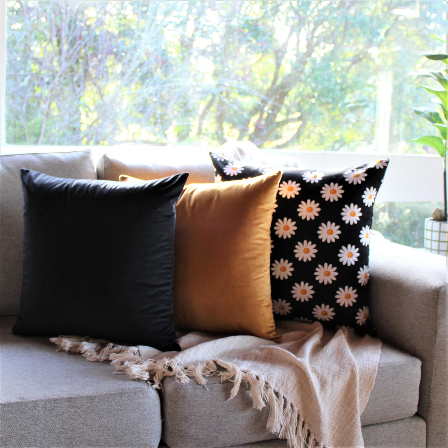 Midnight Daisy Set - Cushion Cover Set