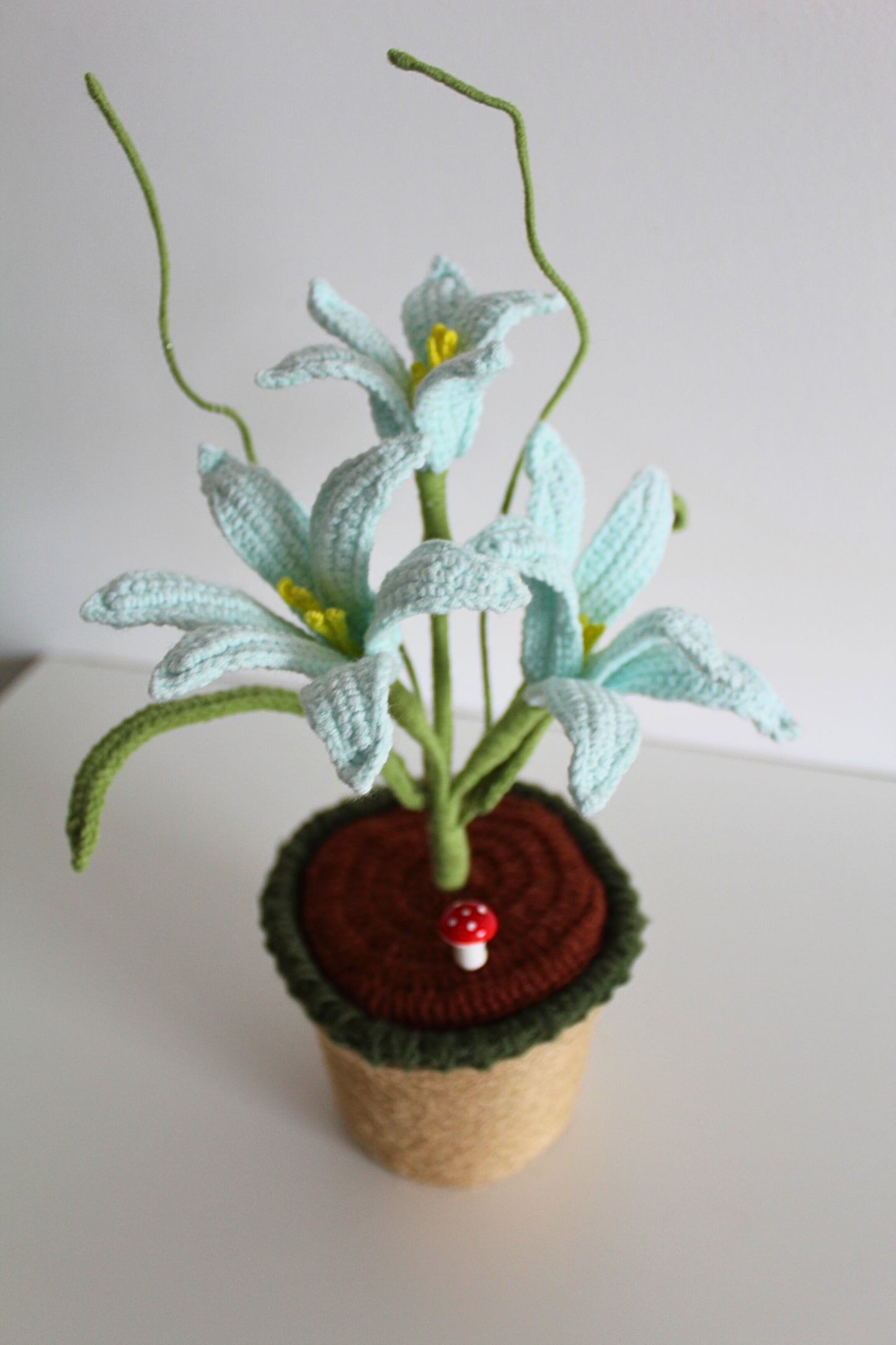 Bluebell Lily Bloom - Forever bloom