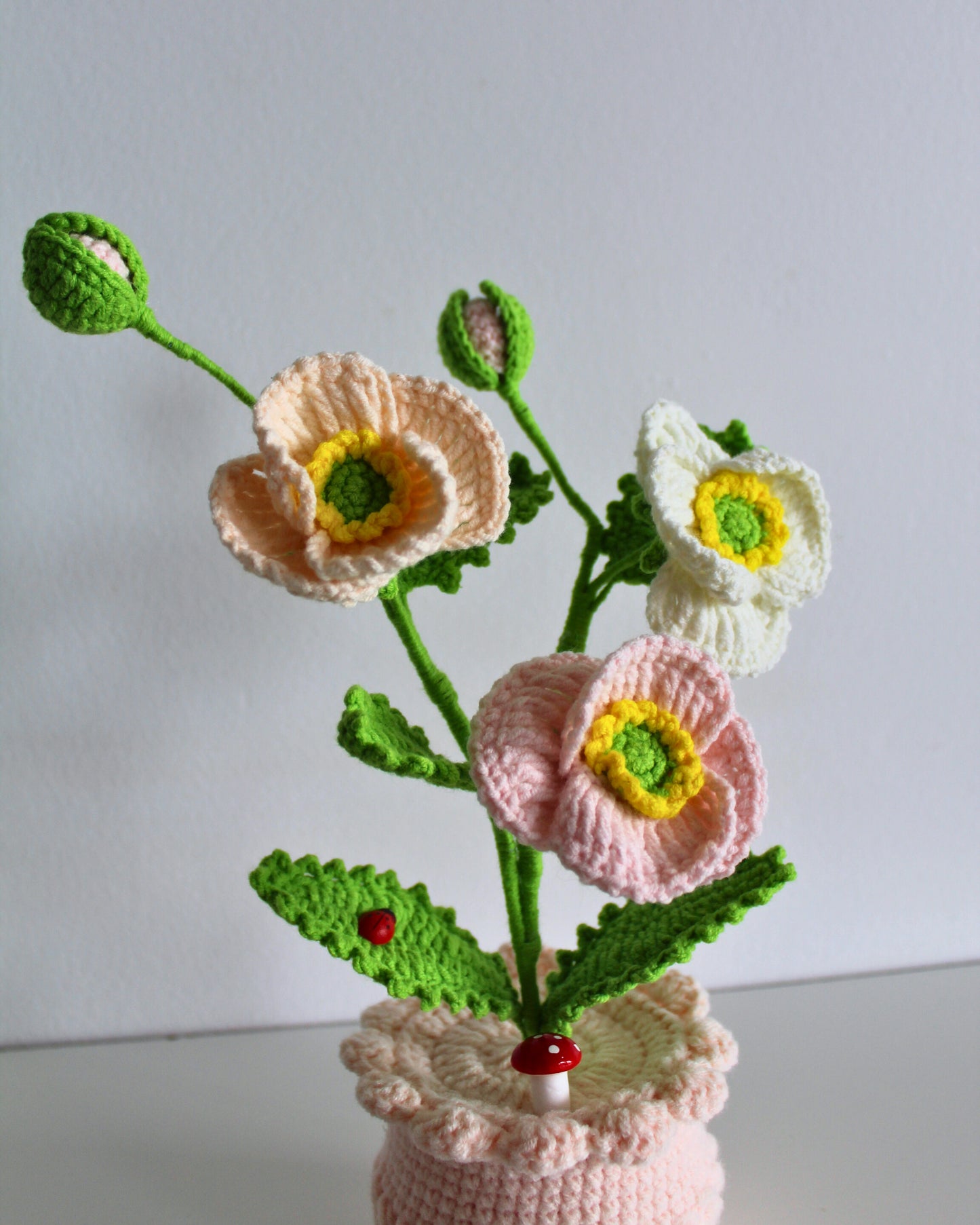 Pastel Anemone - Forever bloom