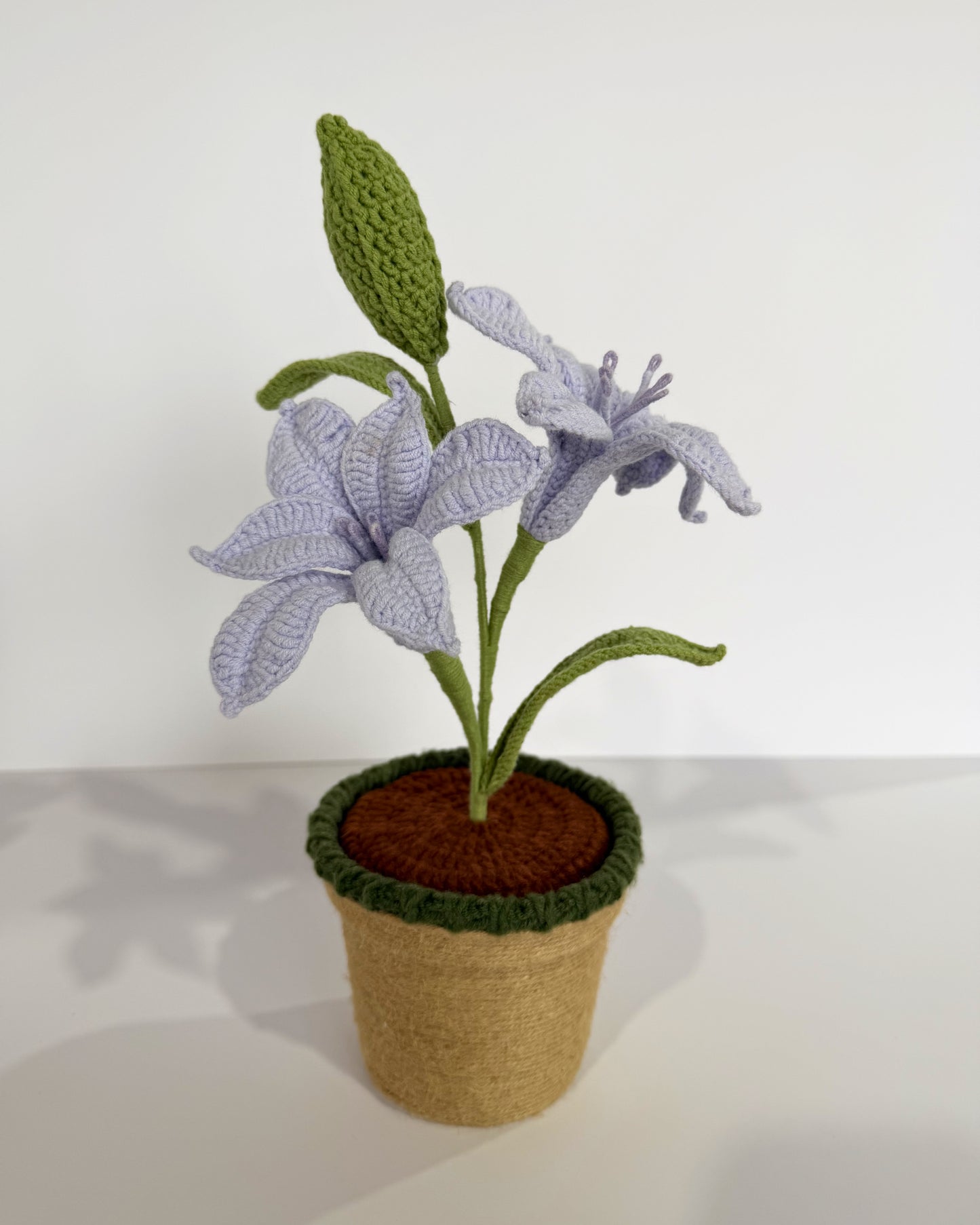 Periwinkle Lily Bloom - Forever bloom