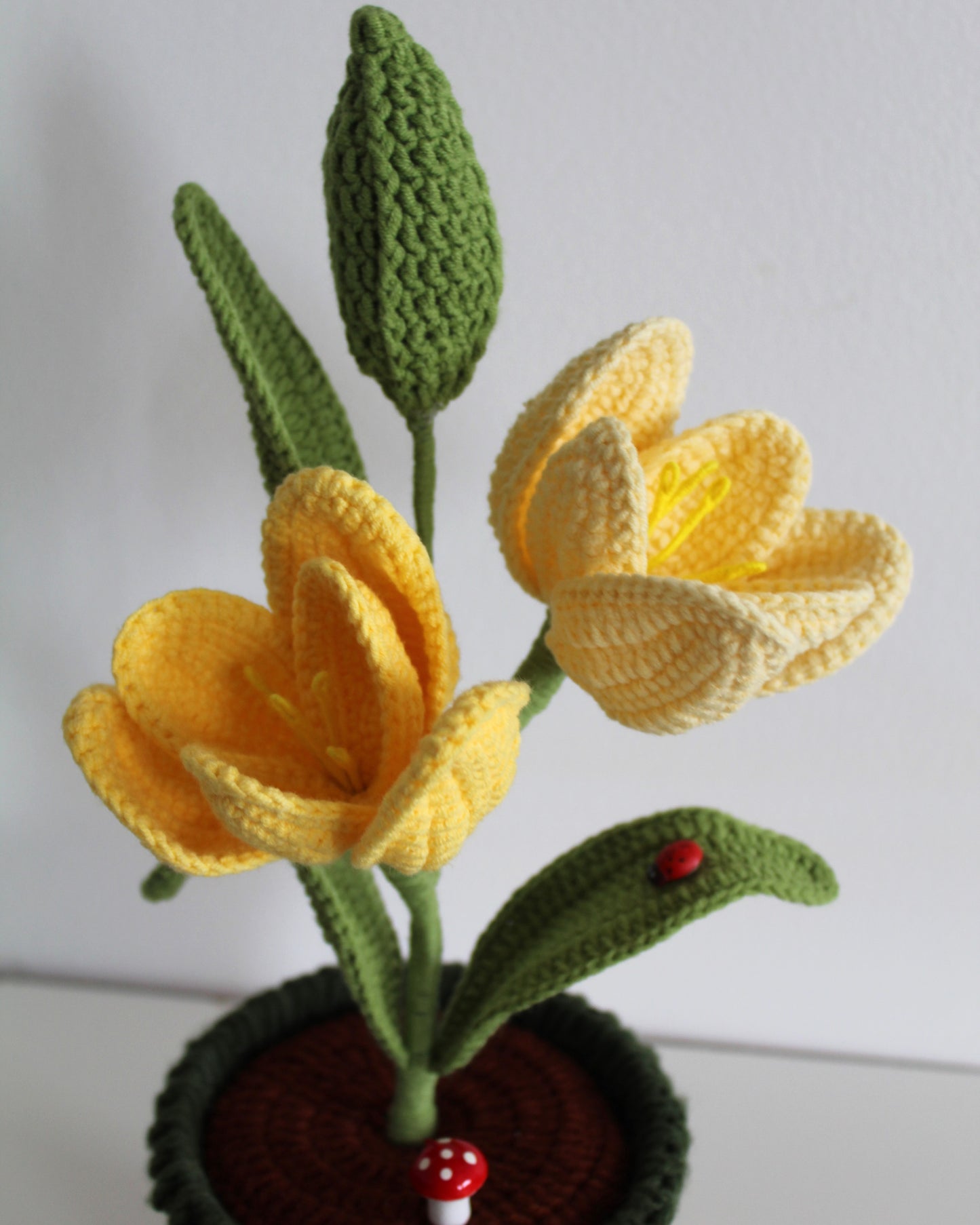 Enchanted Tulip - Forever blooms