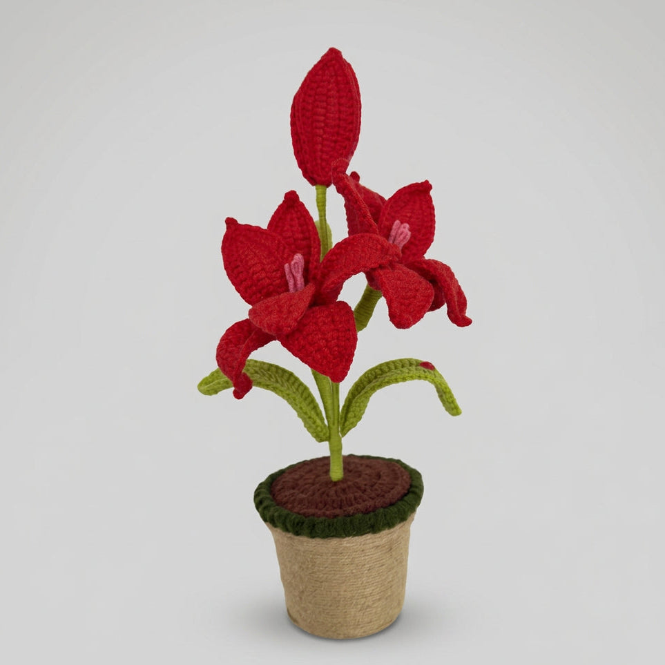 Scarlet Lily Bloom - Forever bloom