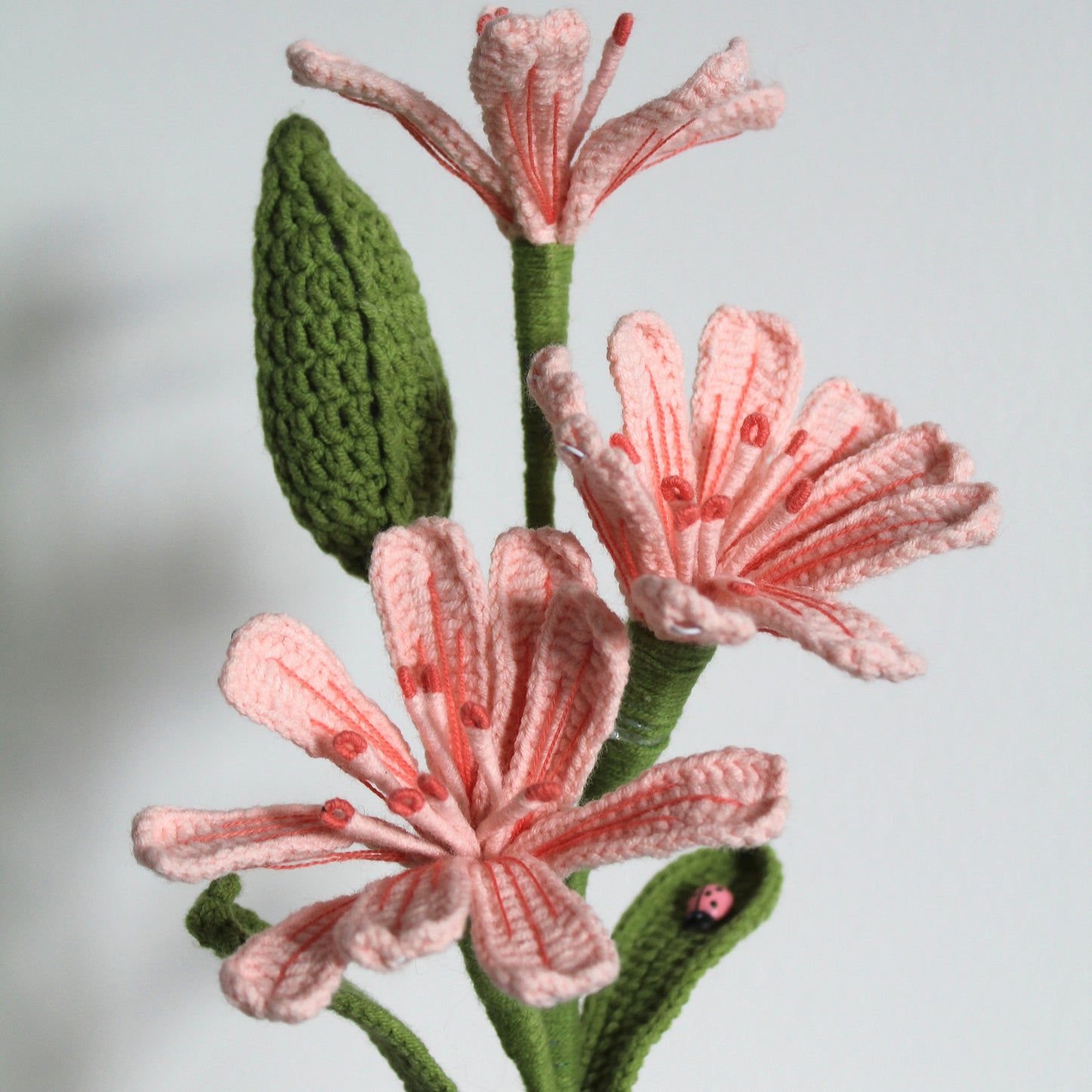Blush Lily Bloom - Forever bloom Collection