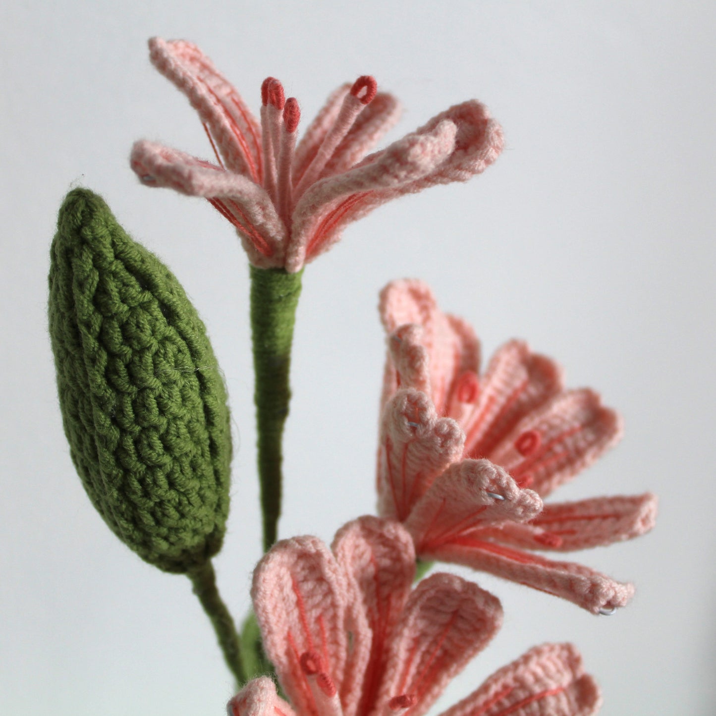 Blush Lily Bloom - Forever bloom Collection