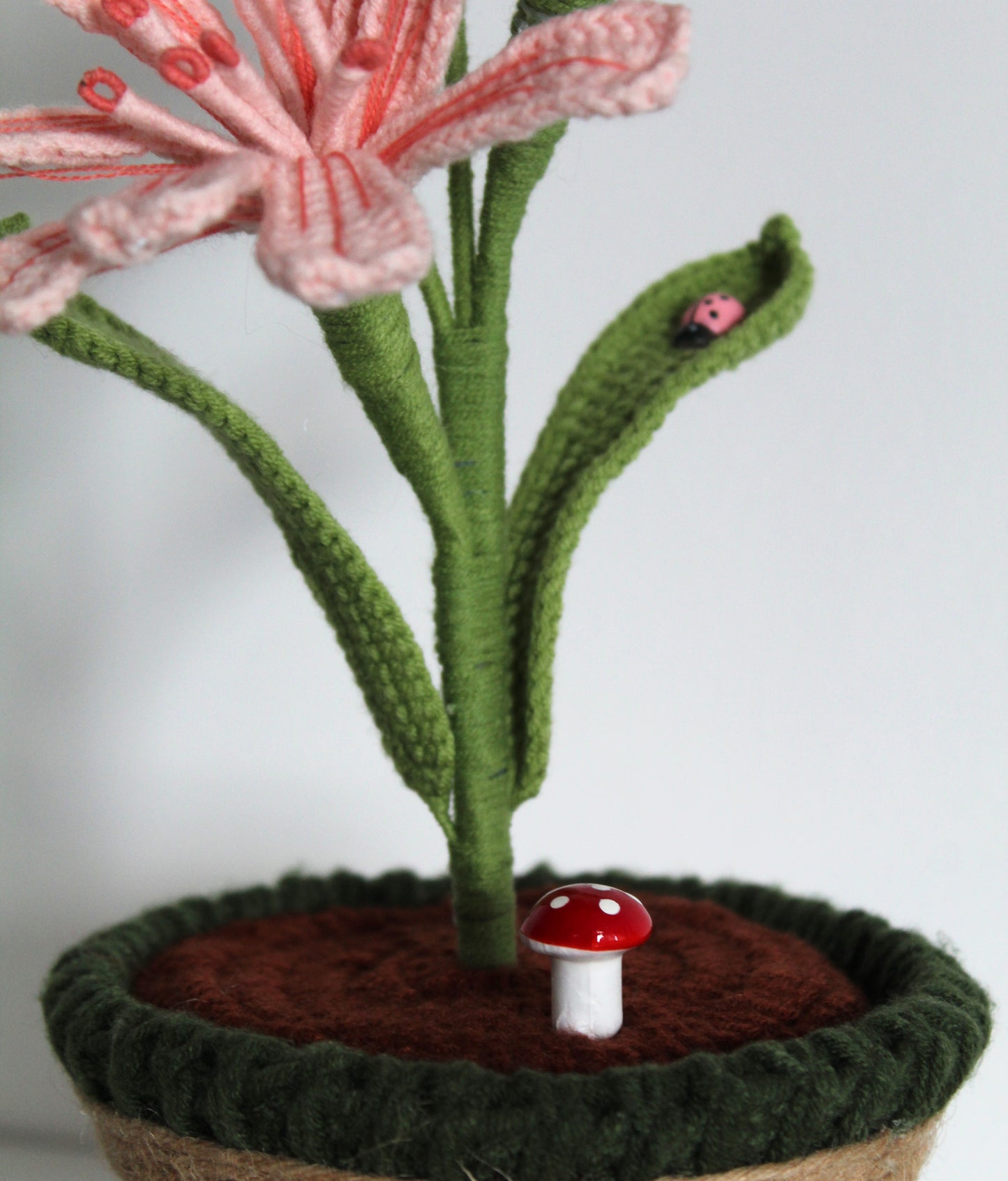 Blush Lily Bloom - Forever bloom Collection