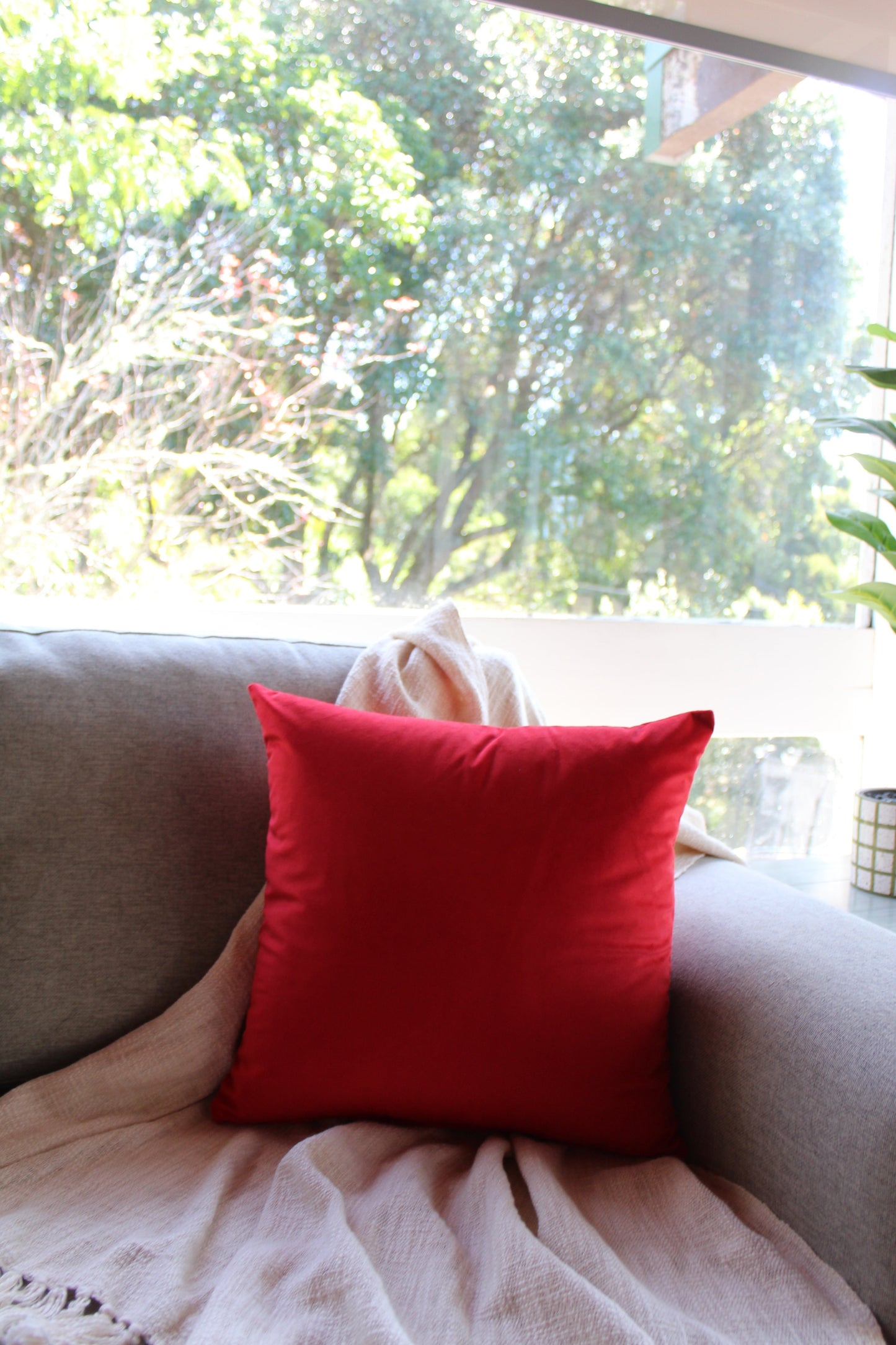 Red Rose Velvet - Cushion Cover