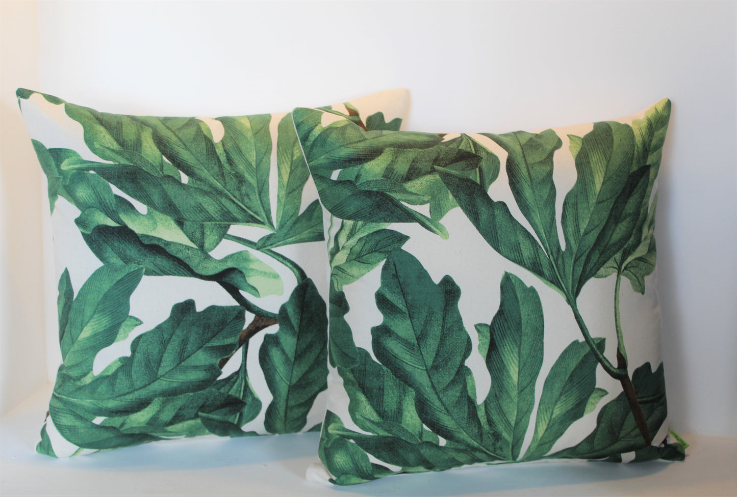 Tropical Plants - Cushion Cover - 50cm x 50cm