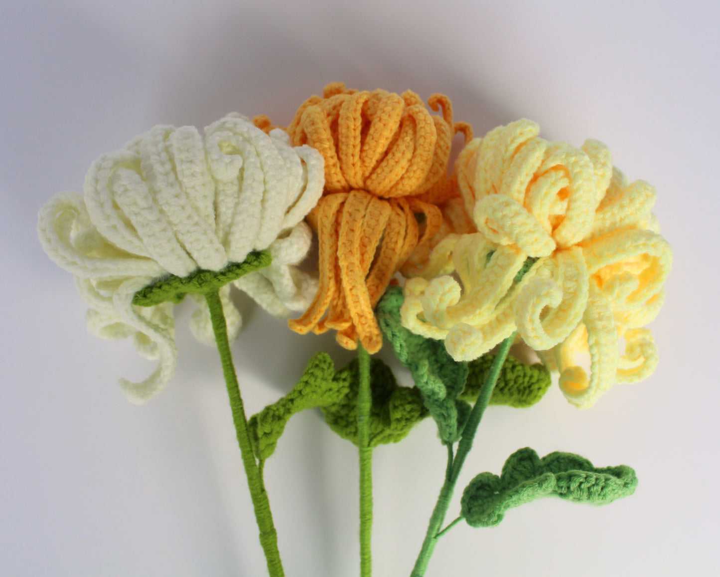 Golden Hour Chrysanthemum - Forever Blooms