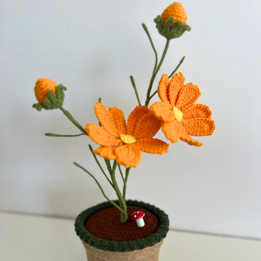Sunburst Bloom - Forever blooms