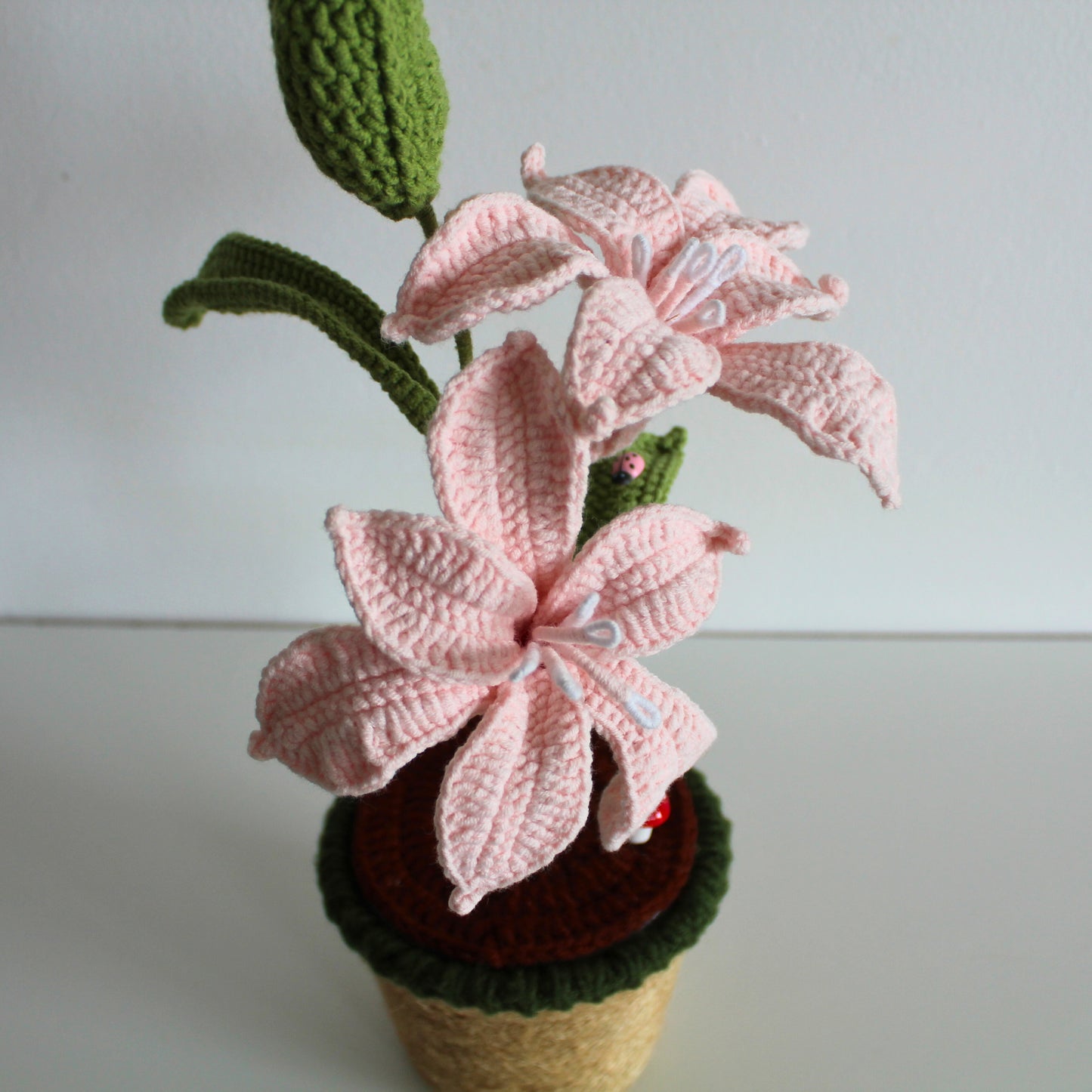 Blush Lily Bloom - Forever bloom