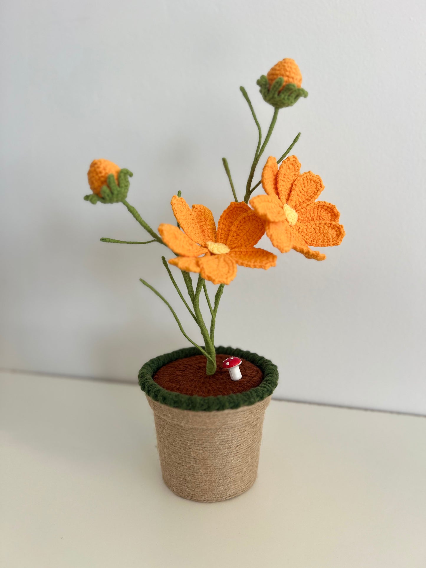 Sunburst Bloom - Forever blooms