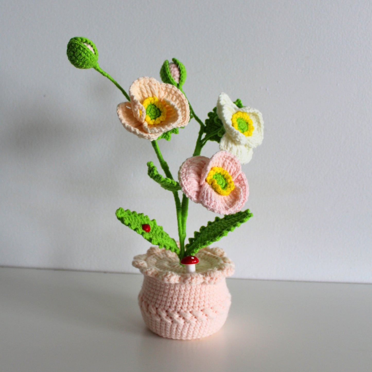 Pastel Anemone - Forever bloom