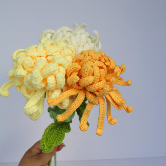 Golden Hour Chrysanthemum - Forever Blooms
