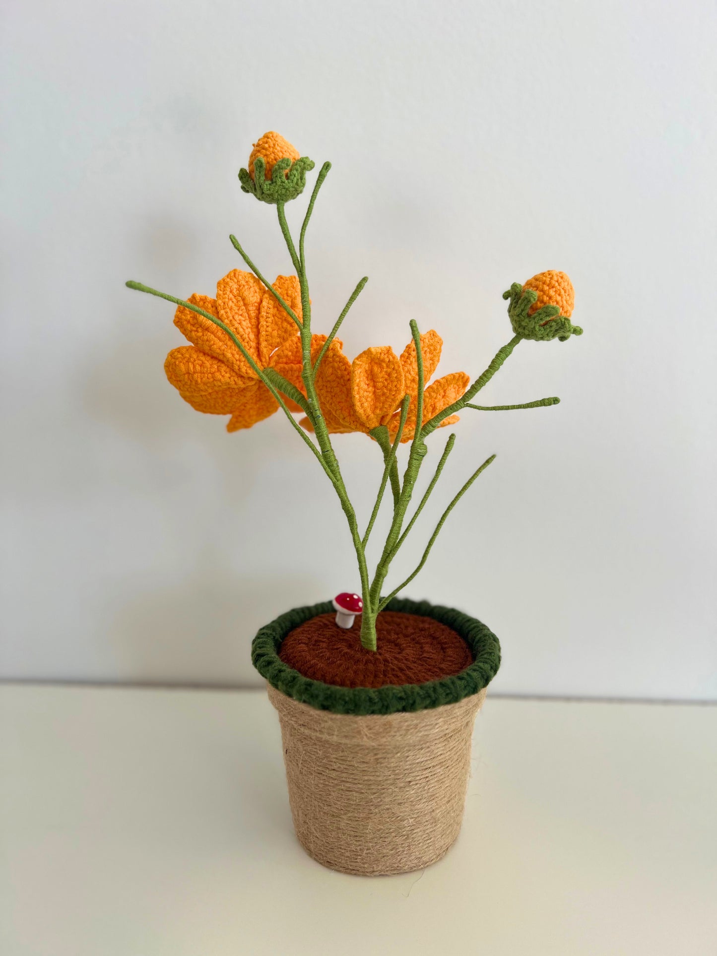 Sunburst Bloom - Forever blooms