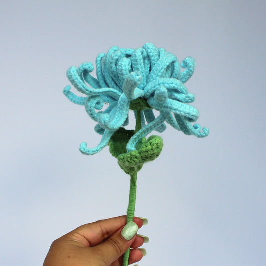 Lagoon Chrysanthemum - Forever Bloom