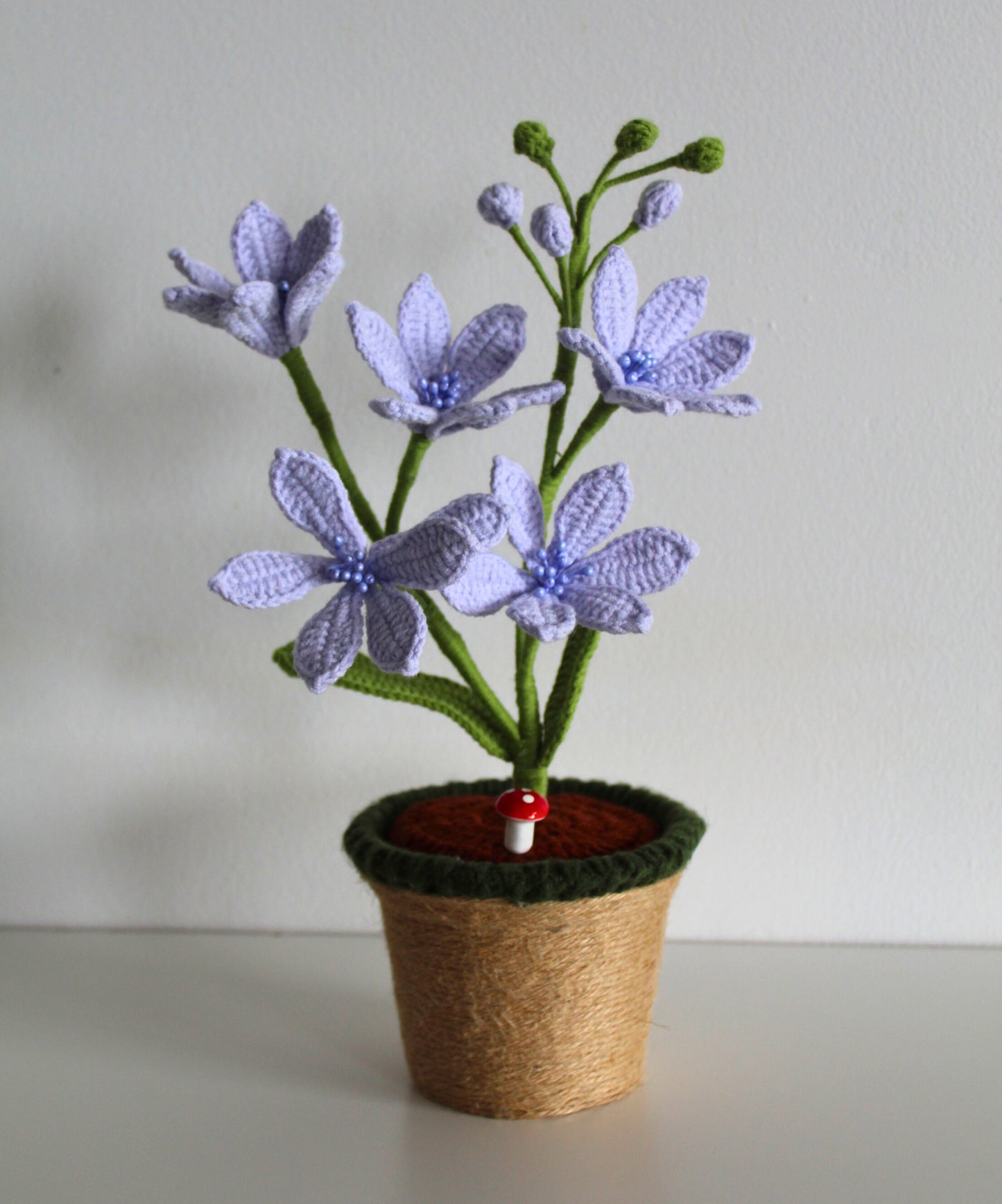 Periwinkle Wildflower - Forever bloom