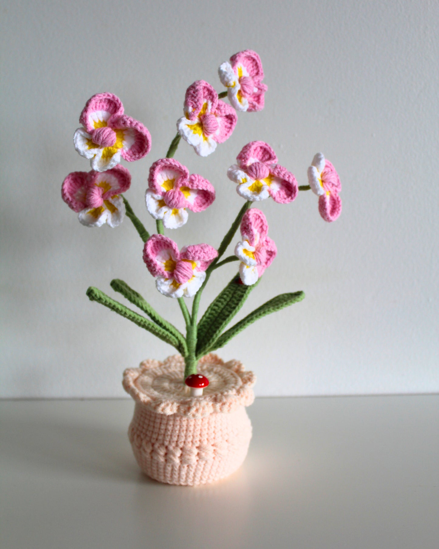 Pink Primrose - Forever bloom