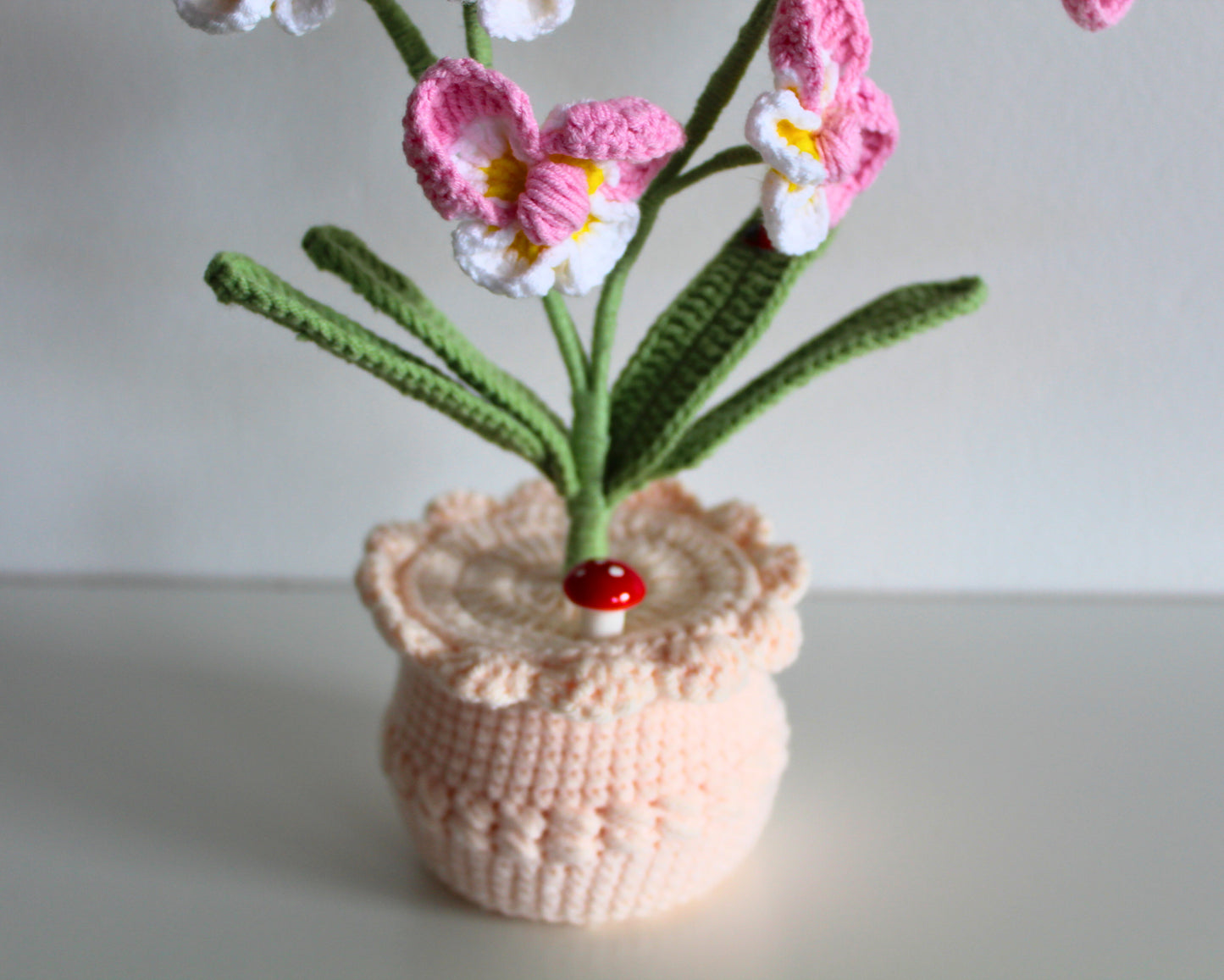 Pink Primrose - Forever bloom