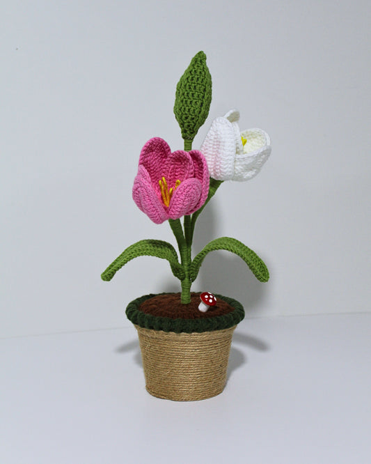 Darling Tulips - Forever bloom