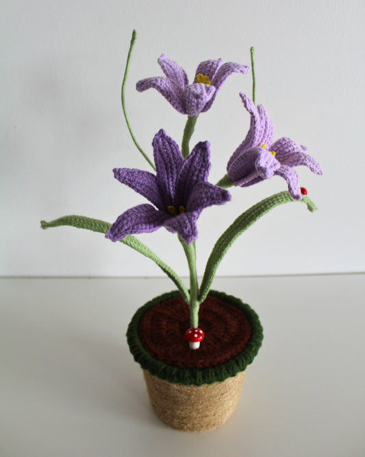 Lavender Lily Bloom - Forever bloom