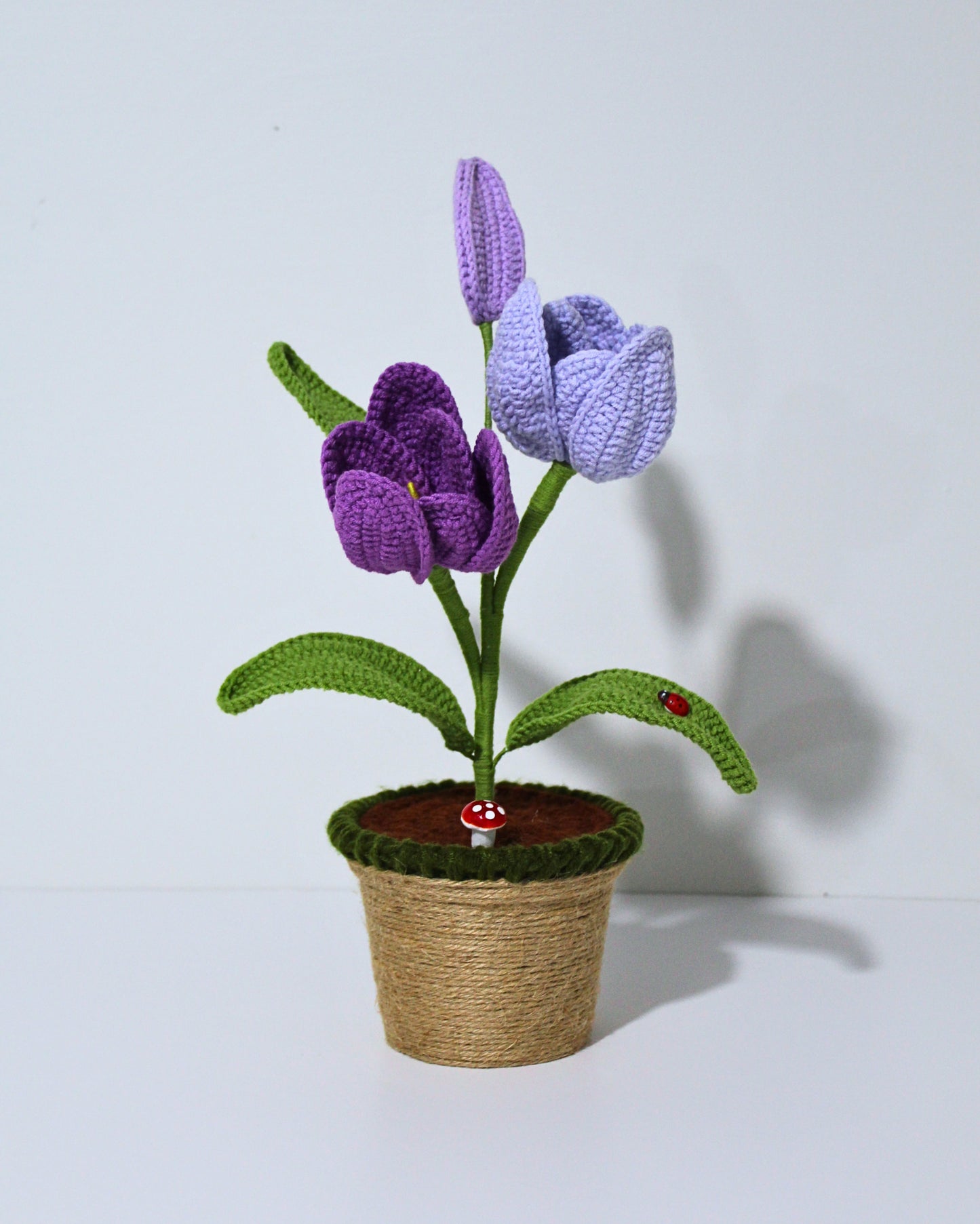 Violet Darling - Forever bloom