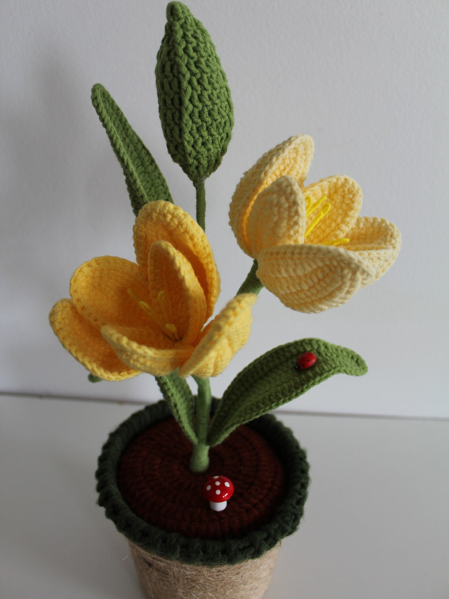 Enchanted Tulip - Forever blooms