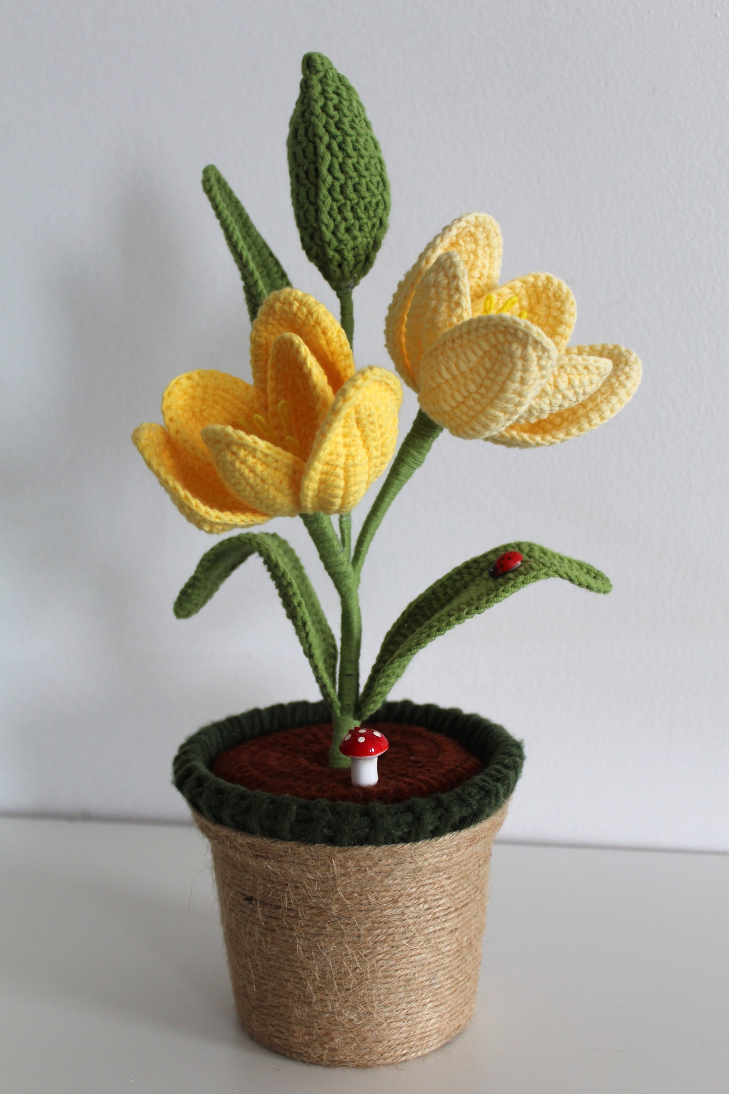 Enchanted Tulip - Forever blooms