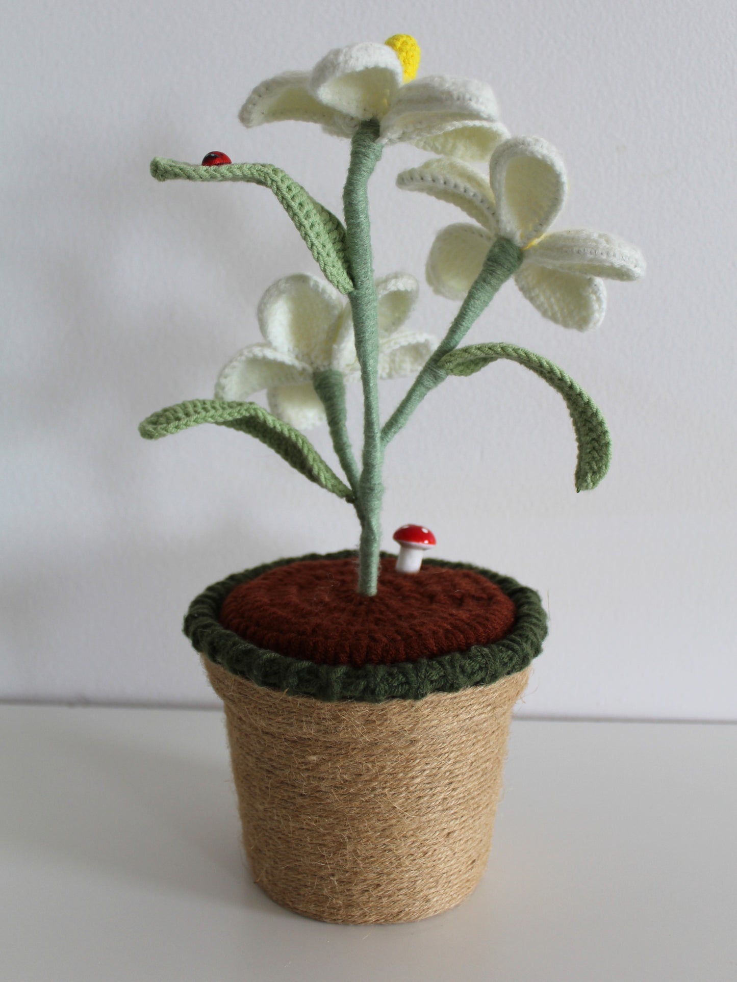 Sweet Daisy Bloom - Forever blooms