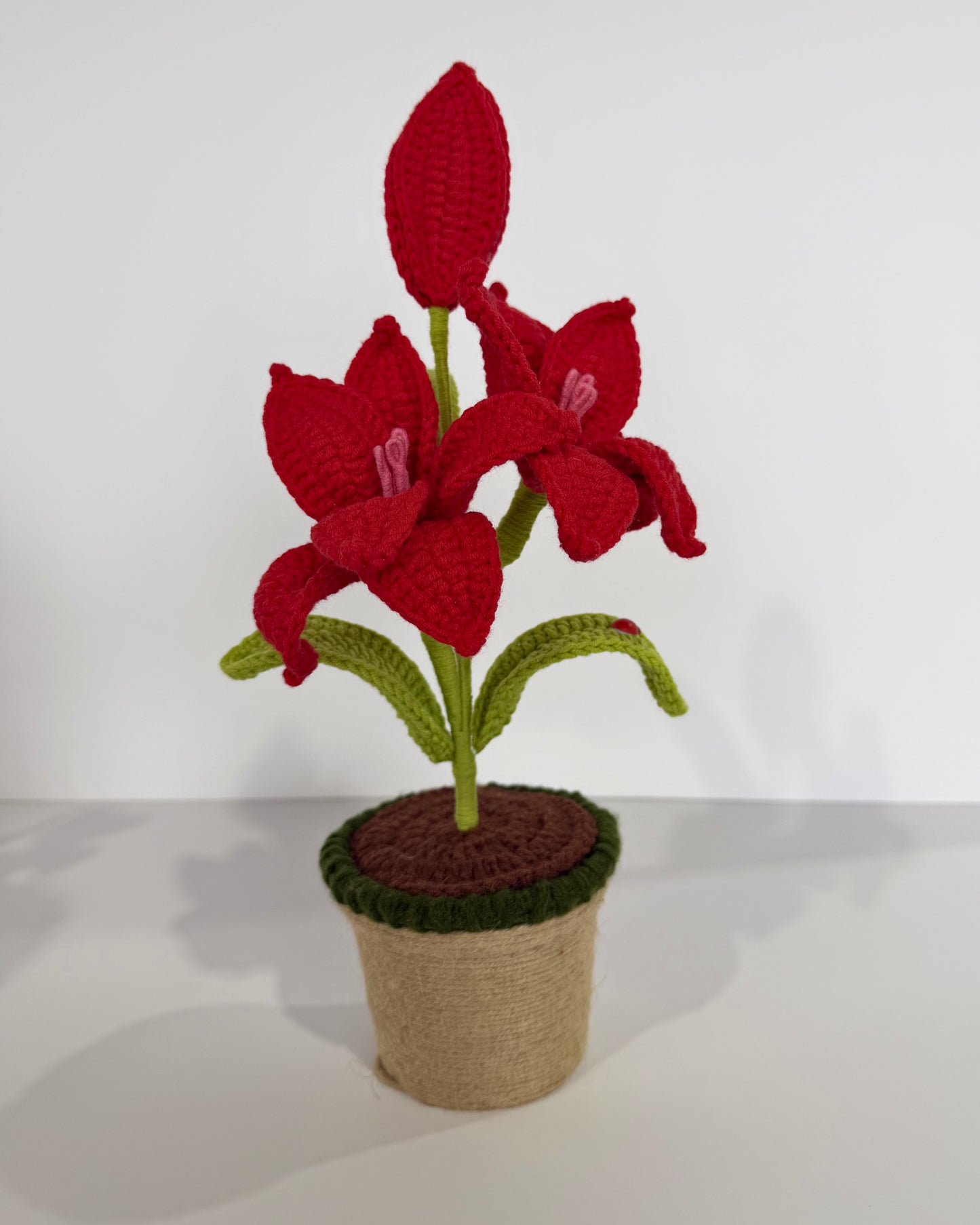 Scarlet Lily Bloom - Forever bloom