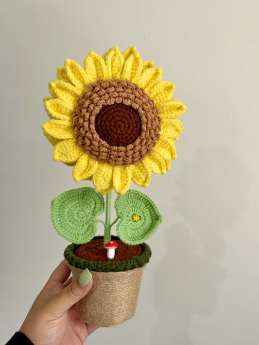Golden Sunshine - Forever Blooms