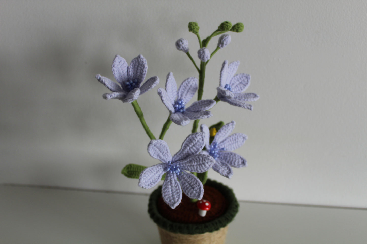 Periwinkle Wildflower - Forever bloom