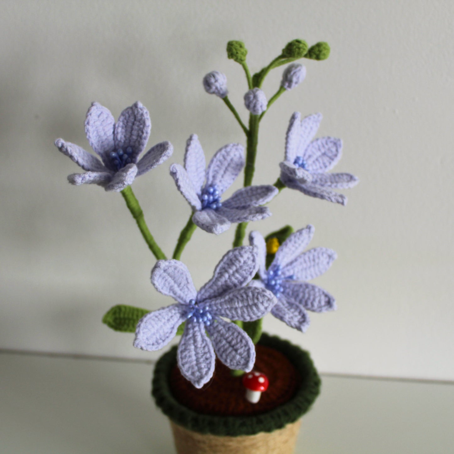 Periwinkle Wildflower - Forever bloom
