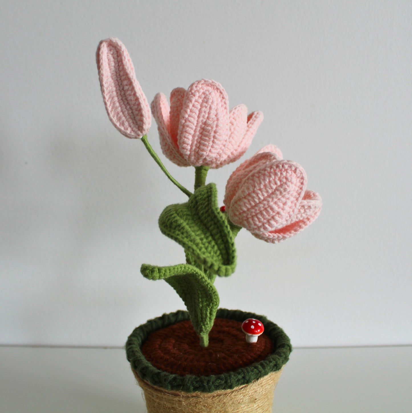 Soft Rose Tulip - Forever bloom
