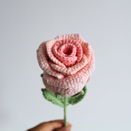 Forever Rose Soft Pink - Forever bloom