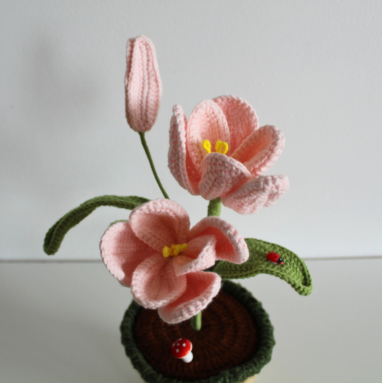 Soft Rose Tulip - Forever bloom