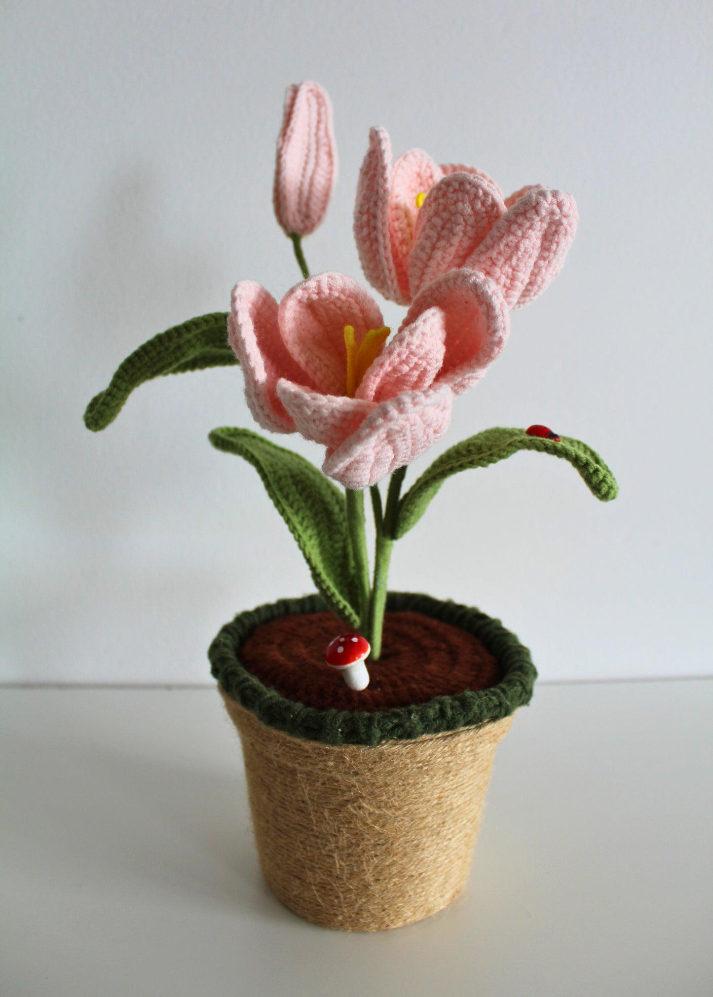 Soft Rose Tulip - Forever bloom