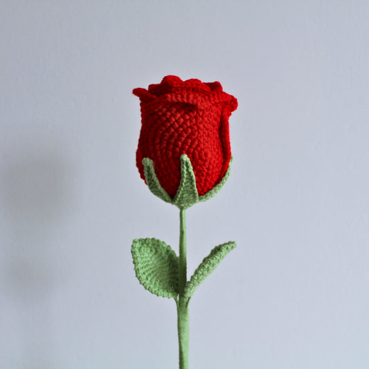 Forever Rose Lover’s Red- Forever bloom