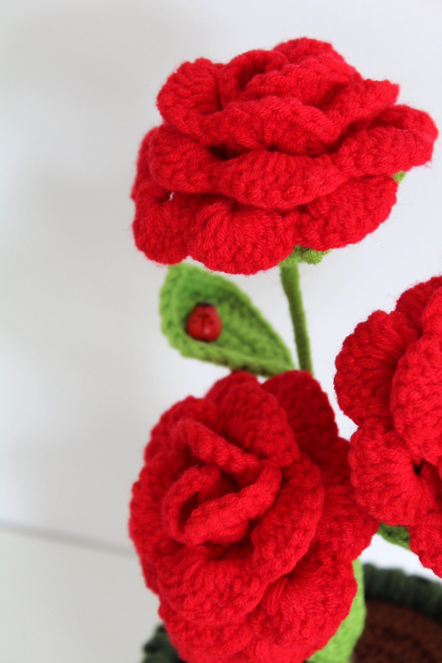 Eternal Rose - Forever Bloom Collection