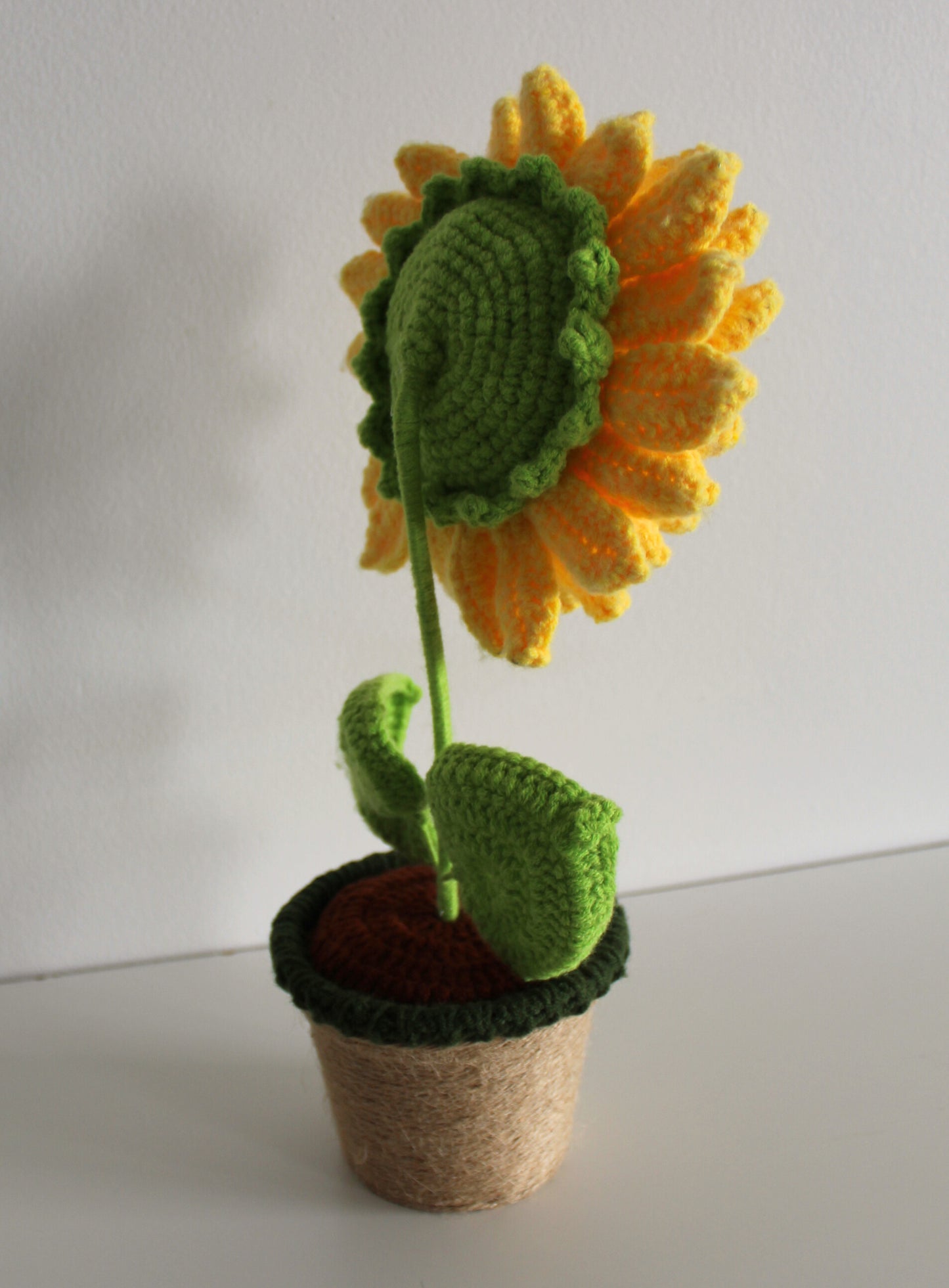 Golden Sunshine - Forever Blooms