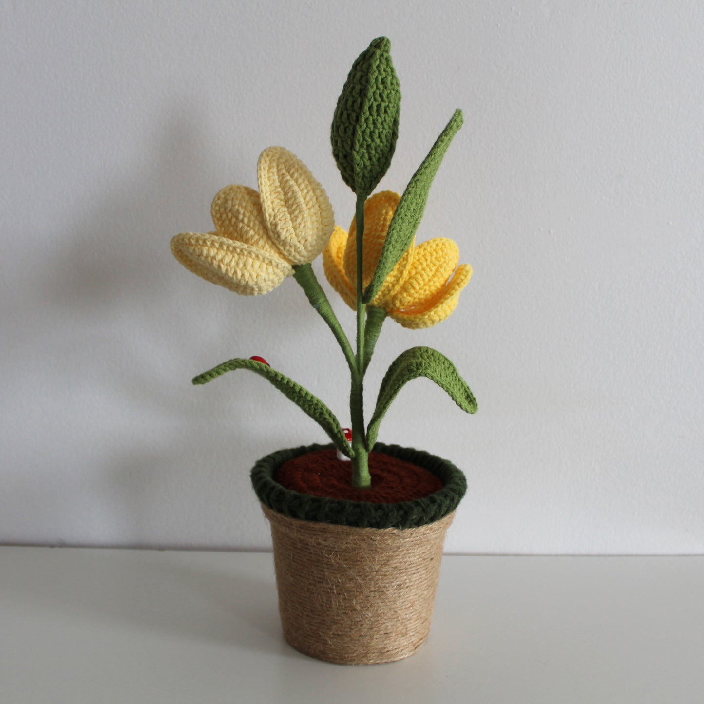 Enchanted Tulip - Forever blooms