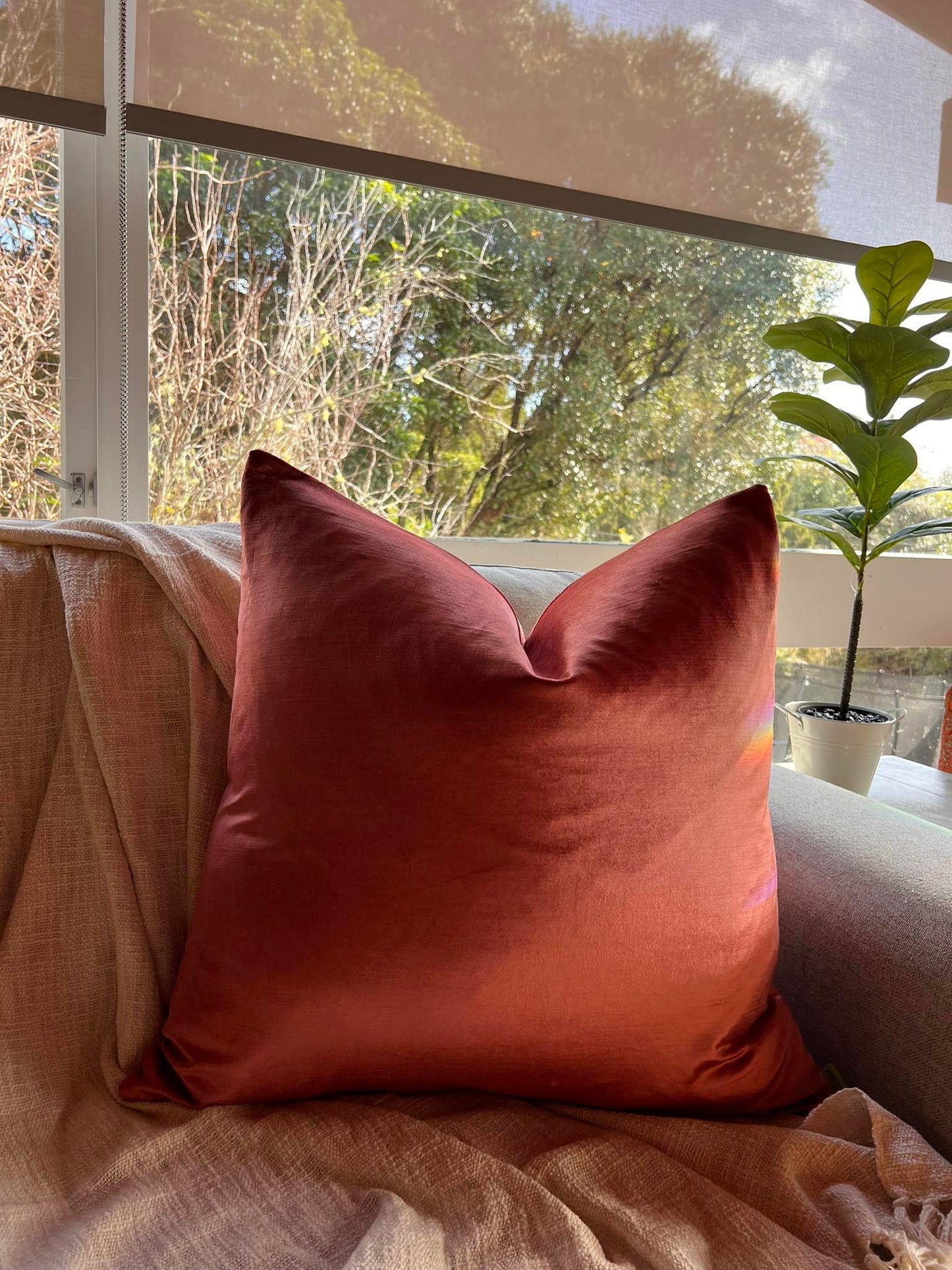 Rose Gold Velveteen - Cushion Cover - 60cm x 60cm